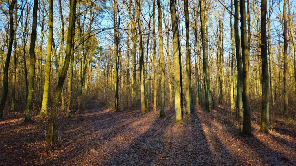 Nova Dachowa - okolica3